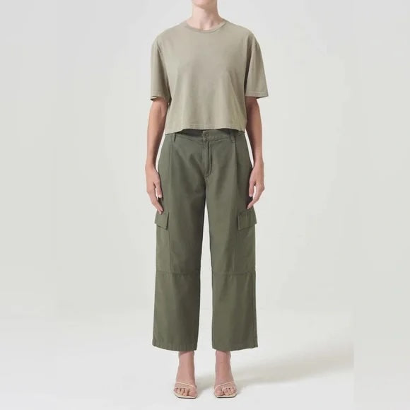 Agolde Jericho Pants